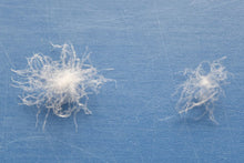 画像をギャラリービューアに読み込む, (ロマンス小杉)羽毛掛け布団【カナダ産ホワイトグース】